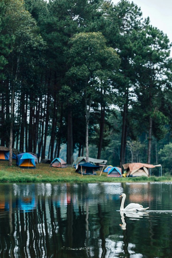 Quels sont les meilleurs conseils pour camper en région de steppe en été ?